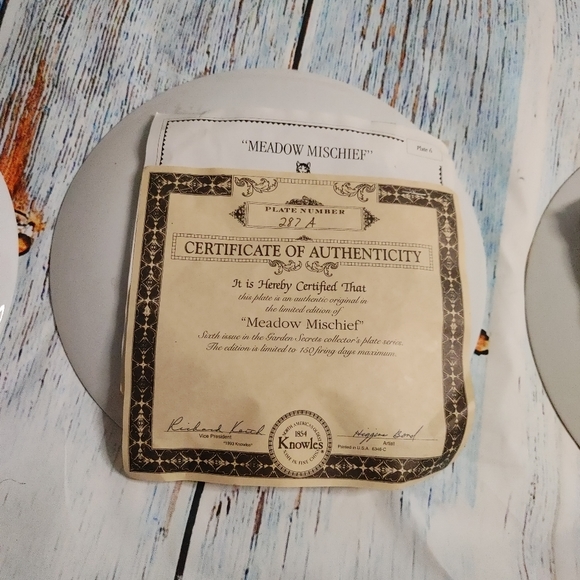 8 Bradex 9" Plates The Garden Secrets - Picture 15 of 16